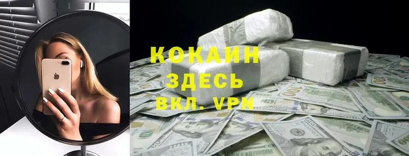 kraken как войти  Заволжье  Cocaine Эквадор  где найти  